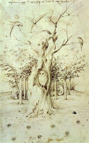 376px-The_Trees_Have_Ears_and_the_Field_Has_Eyes_by_Hieronymus_Bosch.jpg